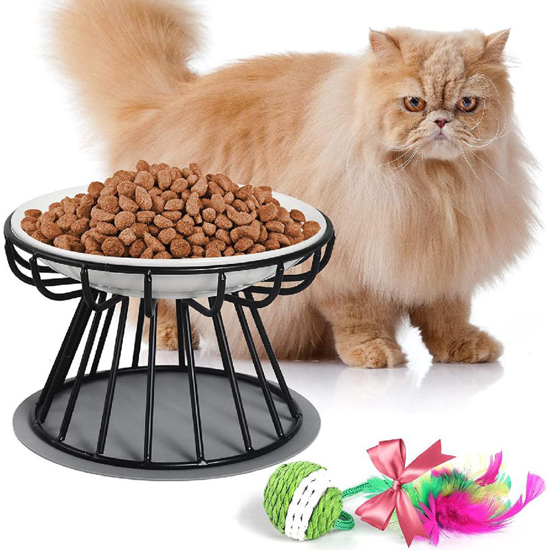 huanan19862021 Cat Bowl,Ceramic Raised Cat Food Bowl,Non Slip Pet